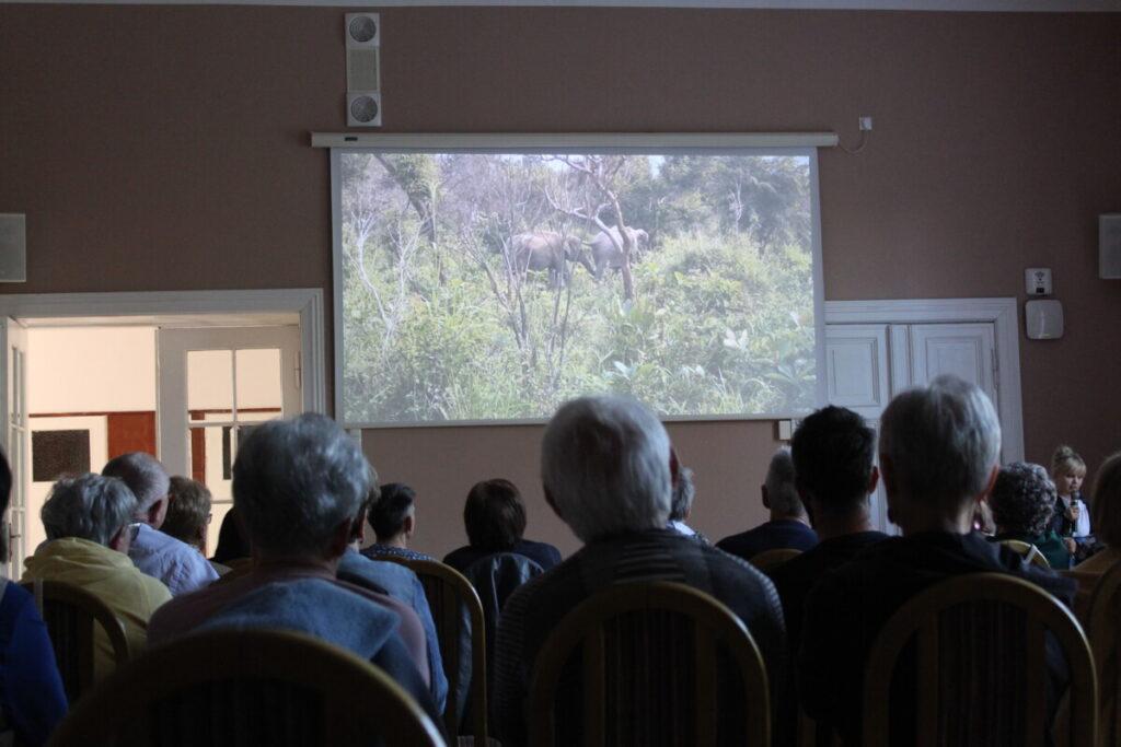 W budynku, prezentacja dżungla i słonie, publiczność, grupa ludzi ogląda prezentację, siedzi na krzesłach